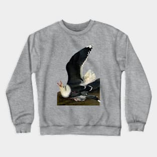 Audubon's Great black-backed Gull Crewneck Sweatshirt